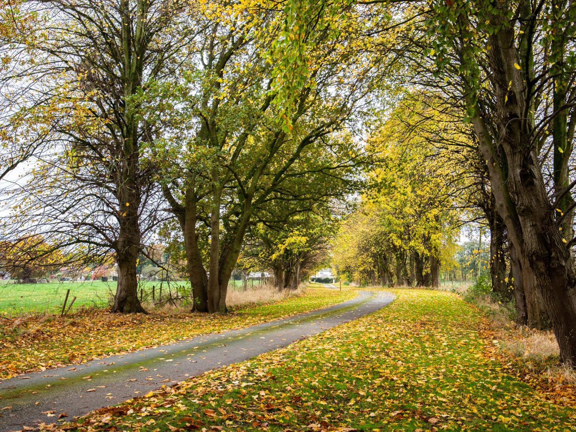 Yha Chester Trafford Hall Dunham-on-the-Hill Ngoại thất bức ảnh